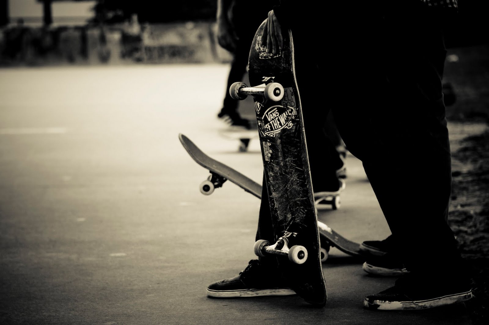 skateboard vans skateboard vans